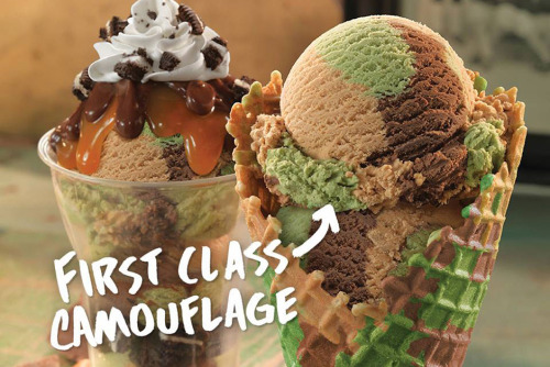 (via Baskin-Robbins First Class Camouflage Ice Cream | Hypebeast)OK, yeah, seems like we really need