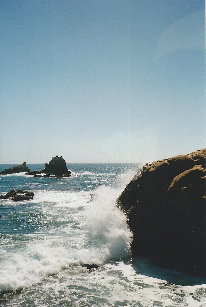 nichvlas:  Scan 26 (by natcatwil)