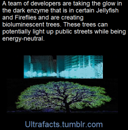 ultrafacts:  (Fact source/more info) Follow