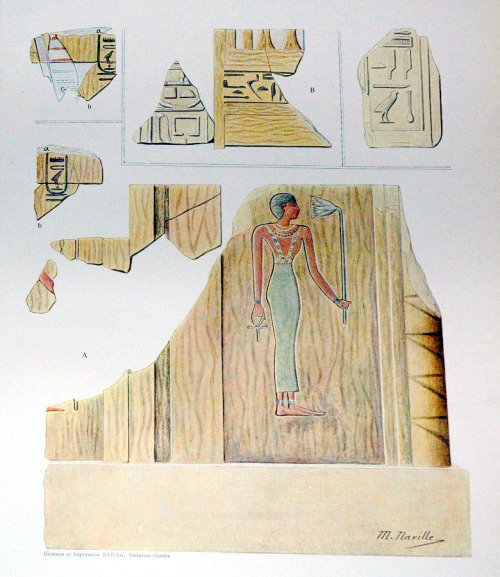 Illustration after relief fragments from the shrine of Aashit (one of Mentuhotep’s wifes) at the Mor