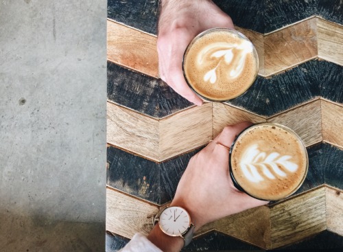 triflingthing:little cappuccino crew