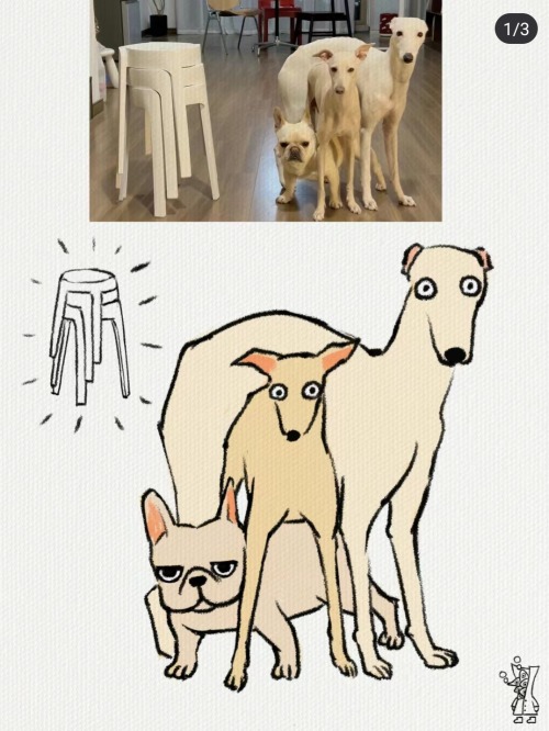 So China's Pet Content Is Really On Another Level