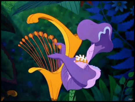 wonderland1951:Golden afternoon