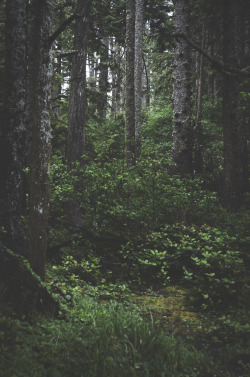 autumnsaurora:  © Autumns AuroraTumblr Flickr