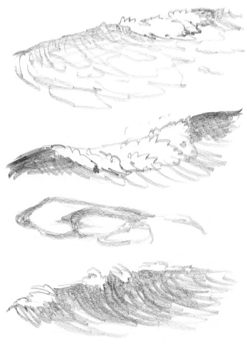 Wave studies, Part 2