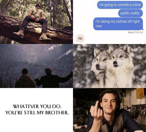 herokingrobbstark - asoiaf modern au series 2/? » relationships -  ϟ...