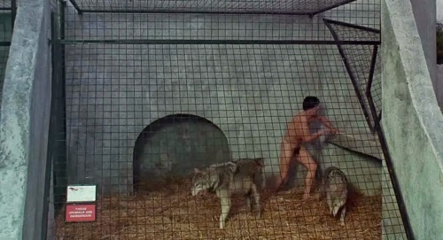 tripnight:  David Naughton in An American Werewolf in London “While vacationing in England, a young man [Naughton] is bitten by a werewolf and finds himself behaving like a beast and terrorizing the locals. How this is different from the average young