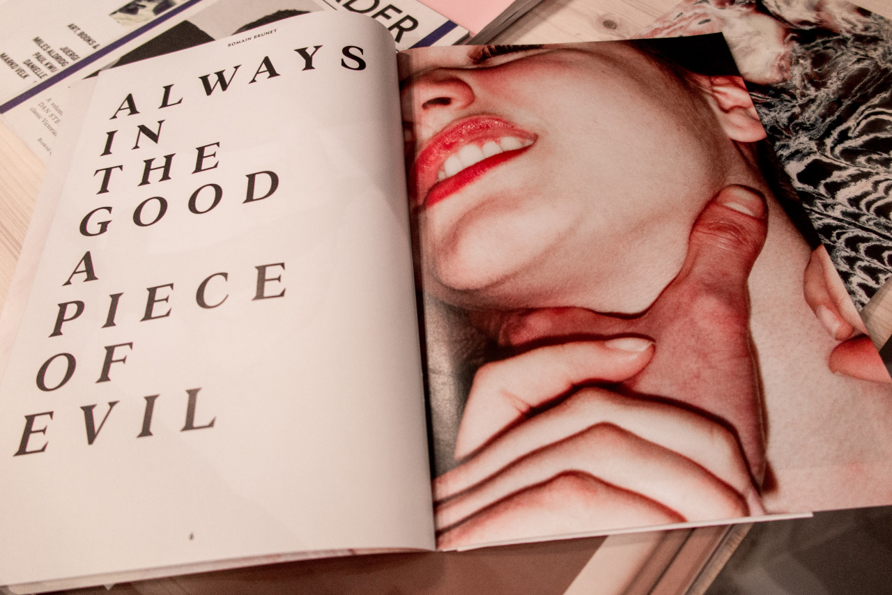 stripproject: SOVA MAGAZINE issue 5 | The Non-Moralist | Bjork Florence | Strip-Project