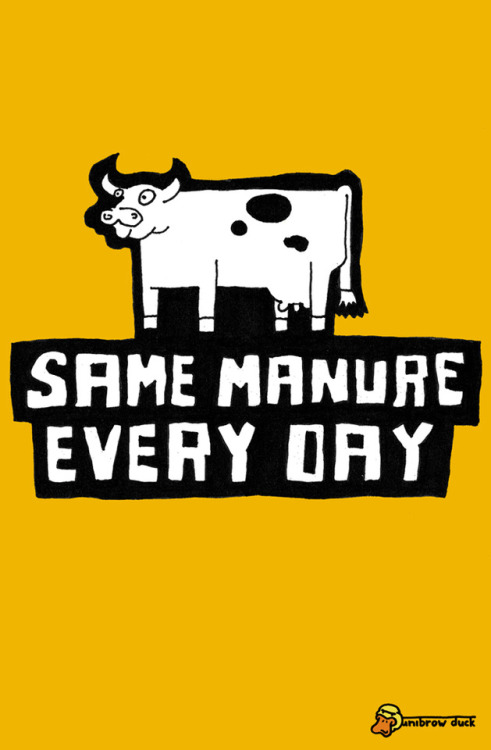 same manure every day…