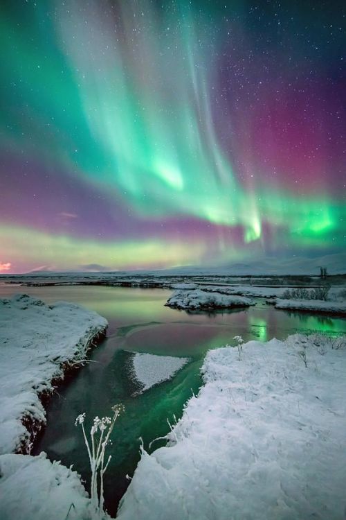bojrk:  Aurora near Eggum, Norway // Aurora Borealis, Iceland 
