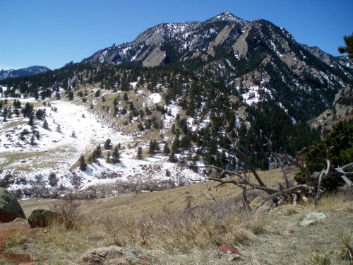 Spring Snow in the Front Range, Near Boulder, Colorado, 2006.