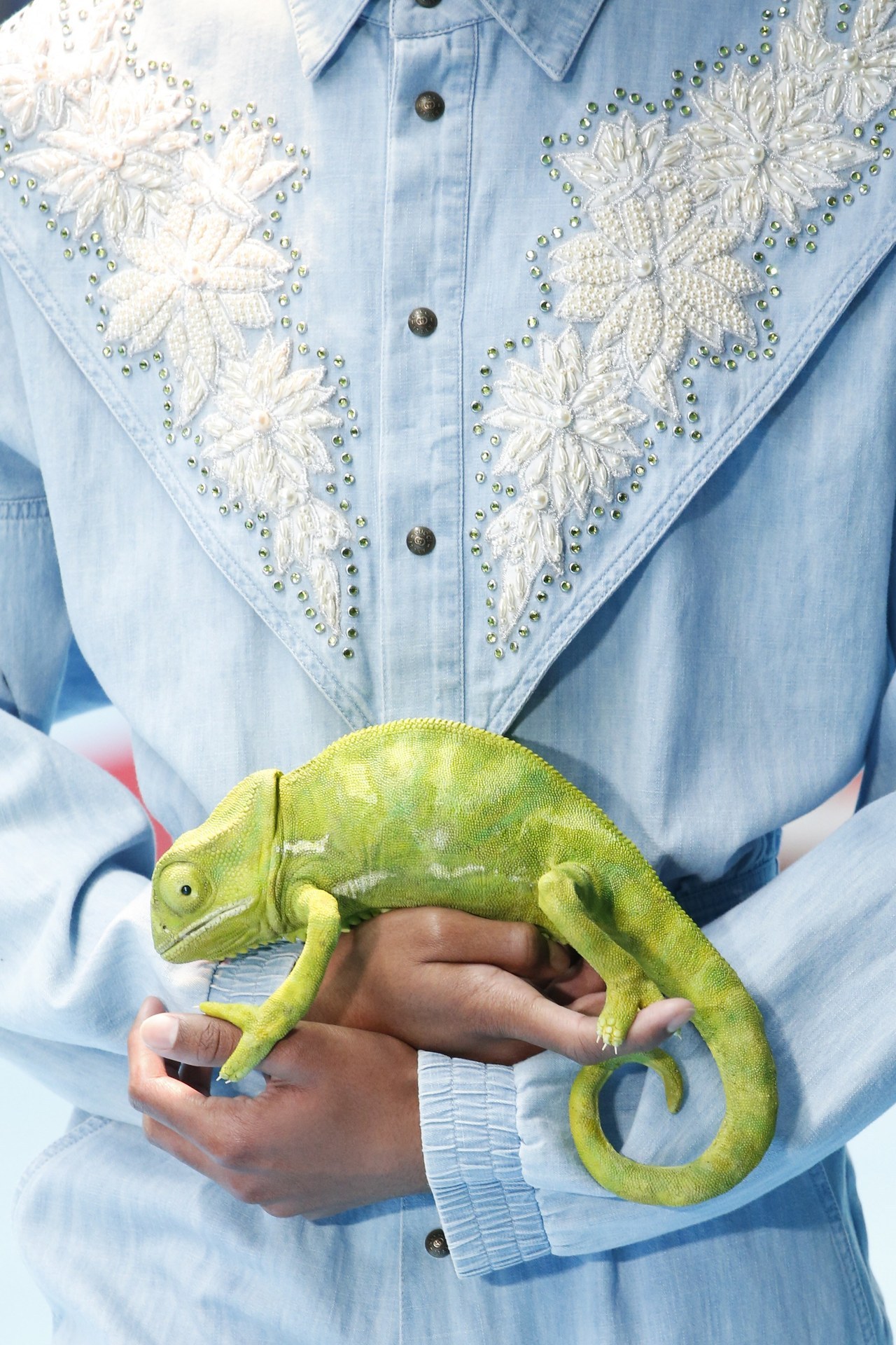 midnight-charm:  Gucci Fall / Winter 2018