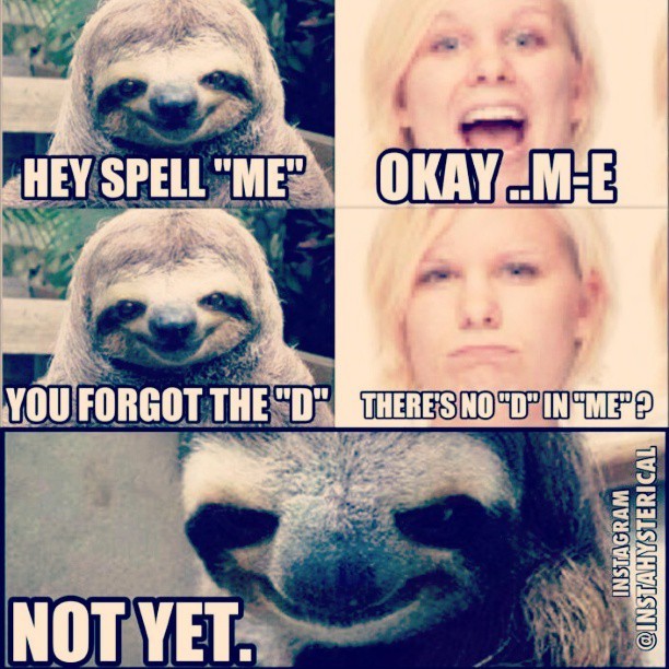 Lmfaooo 😂😂