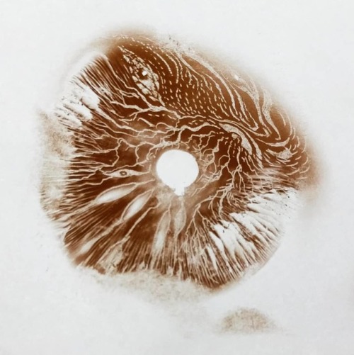 Spore print art testing 1, 2, 3&hellip; . . #sporeprintart #sporeprint #mushroomart #mjbartist #