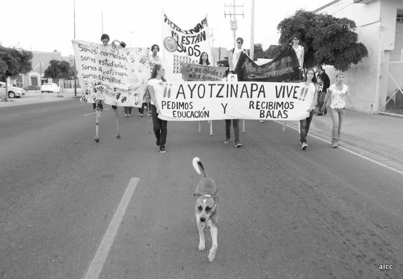 &ldquo;Quisieron enterrarnos, pero no sabían que éramos semilla&rdquo;