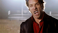 wolfflock:  cumberbatchmebitch:  peterlivingston-deactivated2014: bad teen wolf animations  what are you talking about these graphics are fucking gold  have you seen season 3?! those are bad. these are awesome! 