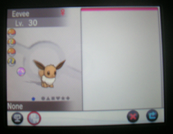 I CAUGHT IT AND ITS MODEST, oh man that didn’t take long at all, like half an hour? and i got a shiny aipom to boot? what a sweet nightfor those who are confused as to what i’m doing, i’m going to be breeding a new Sylveon, a modest natured female