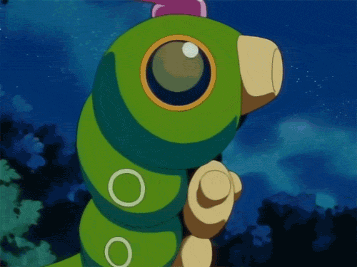 PokeMon Memes — Quick Repost, since I love this gif and I think...