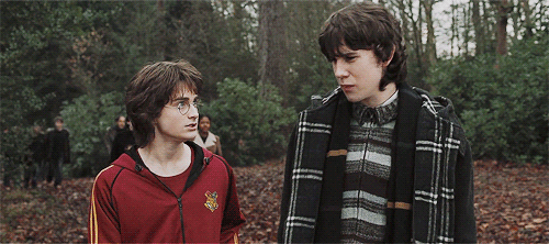 candlewinds:“The odd thing is, Harry,“ he said softly, “that it may not have