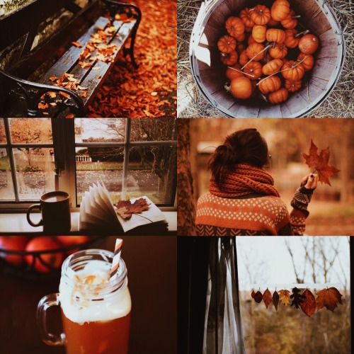 wizardring: autumn aesthetics ♡ “autumn seemed to arrive suddenly that year. the morning of th