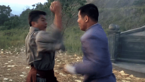 Fist Of Legend (1994)