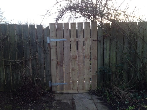 3rd Feb, New gate into the pond garden, we need to keep our smallest wedding guests safe!
