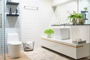 Transform Your Home with a Stunning Bathroom Renov
