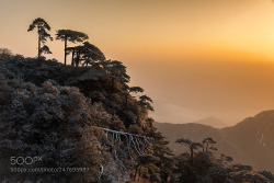 socialfoto:三清山-生命的意义 by b6809733c4c04a7c5076a52a7c41e6384 #SocialFoto