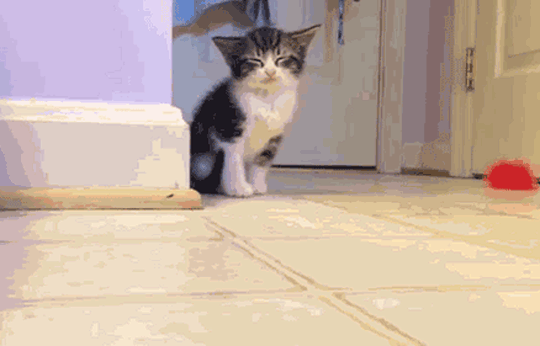 myfunnylolpictures:  I totally meant to do this.