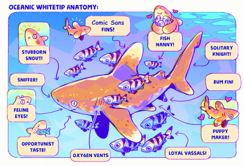 fabula-ultima - Anatomy of a Comic Sans Shark ~