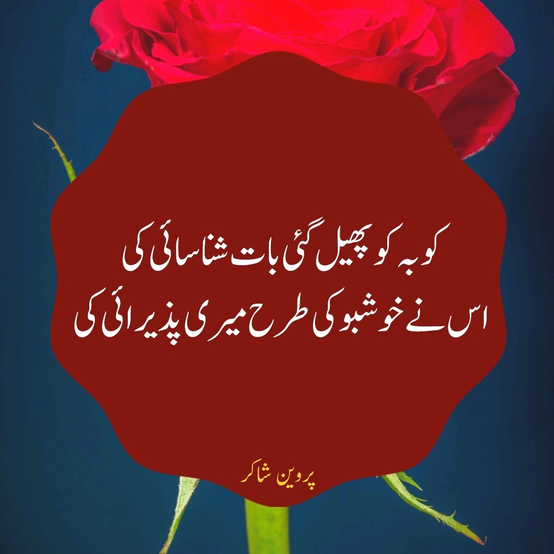 Usman Javed Koo Ba Koo Phail Gai Baat Shanasai Ki Us Ne Usman Javed Koo Ba Koo Phail Gai Baat Shanasai Ki Us Ne