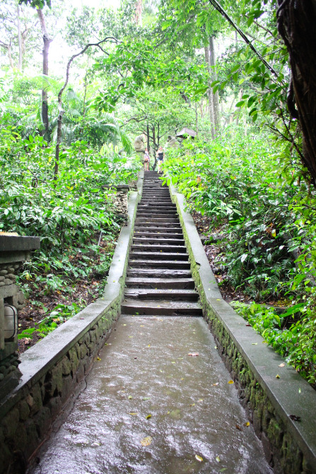 java-jungle: bali-zoo:  Monkey Forest, Ubud, Bali, Indonesia  You are so beautiful