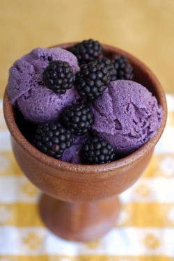 Kaycibabe:  Blackberry Frozen Yogurt. 