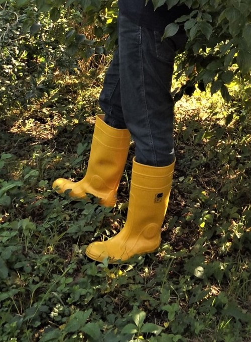 yellow boots