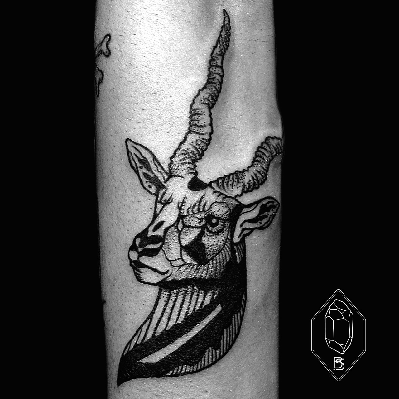 kudu' in Bold lettering Tattoos • Search in +1.3M Tattoos Now • Tattoodo