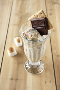 do-not-touch-my-food:  S’mores Gelato 