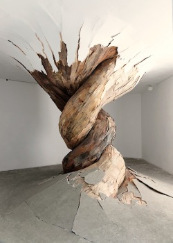 contemporary-art-blog: Henrique Oliveira,