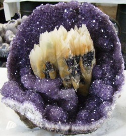 mineralists:  Amethyst geode 