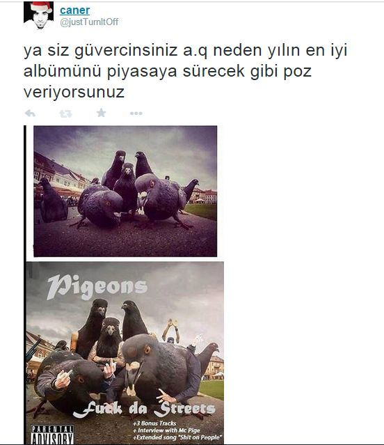 stanimstanizstan:  sinisinside-deactivated20170711: sfdfgfhg  asdfgk 