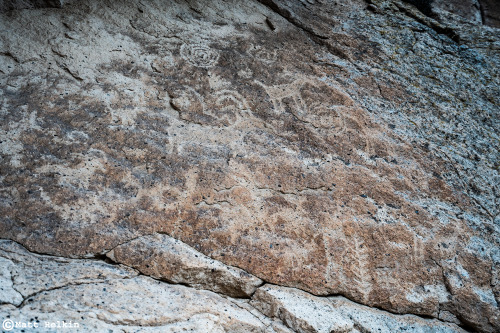 FISP Petroglyphs 4, Sevier County, UT. What do you see? These petroglyphs weren’t pecked out o
