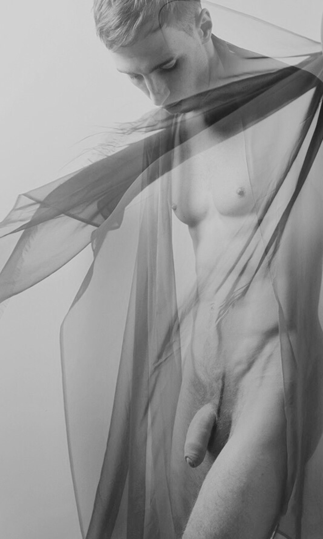 lille-jo:  Chiffon dick …