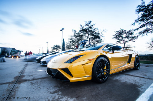 automotivated:  crash—test:  Cars and Coffee 01/04/2014 (by Mike M. Photos)
