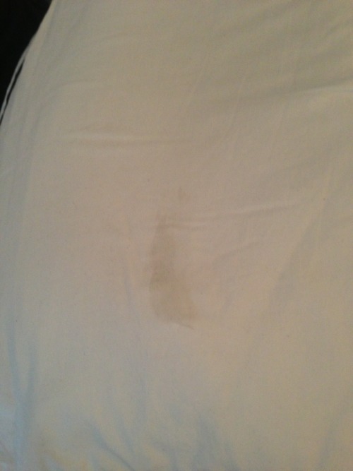 marketingslut:  I’ve humped my pillow, adult photos