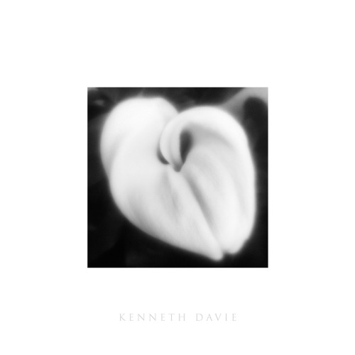 A flower©2016 Ken Davie, all rights reserved.  Do NOT repost without credits and copyright notice.