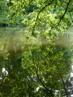 molieresphotography:  Charlottenburg Castle,