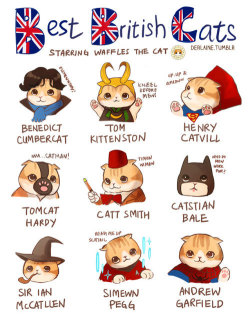 thecatart:  BBC Best British Cats: Funny Cat Art cat pictures art