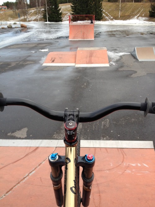 creature-on-two-wheels:  Great to be back on track :) After school riding feels like flying.