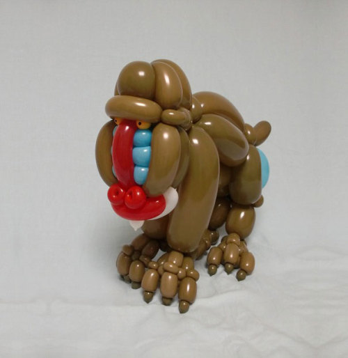 mayahan:  Incredibly Detailed Balloon Animals by Masayoshi Matsumoto