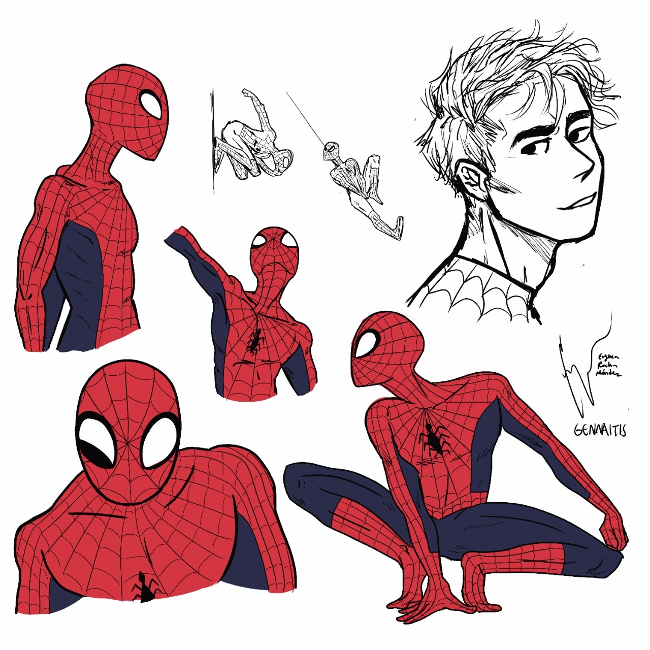 Spider-Man is perfect,, for anatomy practice of...