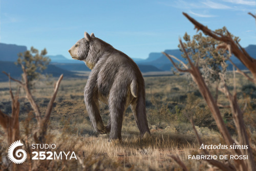 252mya:  Arctodus simus Artwork by Fabrizio De Rossi The short-faced bear Arctodus simus is one of t